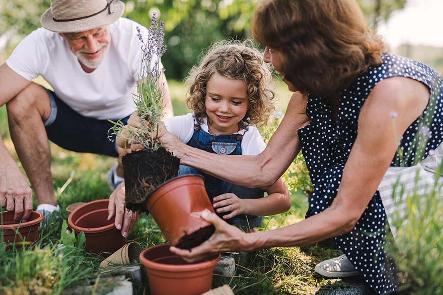 Insurance Quote - Grandparents Having Fun Planting New Flowers with Their Granddaughter in the Garden
